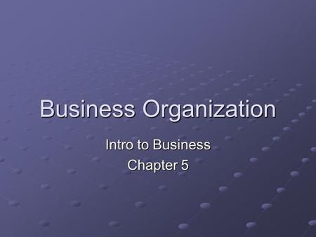 Business Organization Intro to Business Chapter 5.
