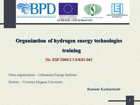 1 Organization of hydrogen energy technologies training No. ESF/2004/2.5.0-K01-045 Main organization - Lithuanian Energy Institute Partner - Vytautas Magnus.