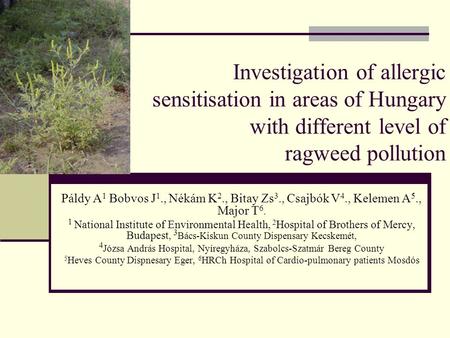 Investigation of allergic sensitisation in areas of Hungary with different level of ragweed pollution Páldy A 1 Bobvos J 1., Nékám K 2., Bitay Zs 3., Csajbók.