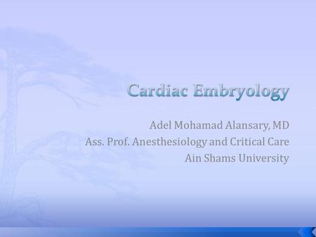 Adel Mohamad Alansary, MD Ass. Prof. Anesthesiology and Critical Care Ain Shams University.