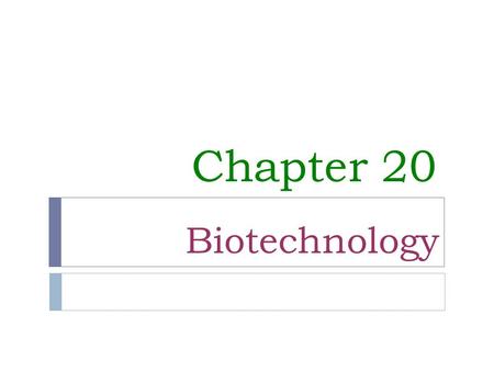 Chapter 20 Biotechnology.