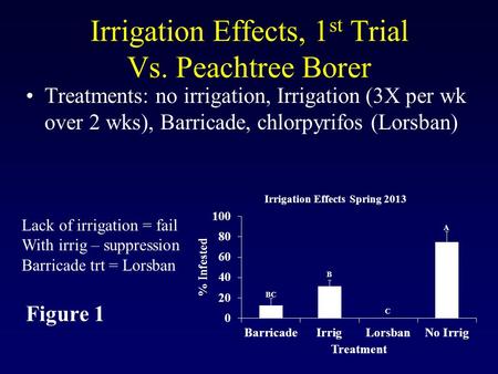 Irrigation Effects, 1 st Trial Vs. Peachtree Borer Treatments: no irrigation, Irrigation (3X per wk over 2 wks), Barricade, chlorpyrifos (Lorsban) Figure.