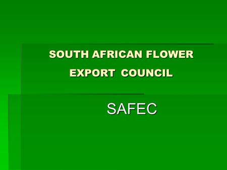 SOUTH AFRICAN FLOWER EXPORT COUNCIL SAFEC SAFEC. SAFEC South Africa is very rich in natural flora and as such has a very active cut flower industry South.