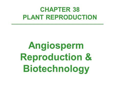 CHAPTER 38 PLANT REPRODUCTION Angiosperm Reproduction & Biotechnology