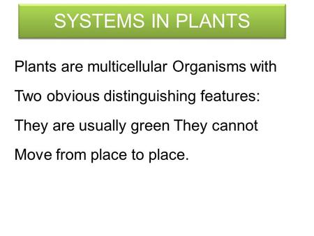 SYSTEMS IN PLANTS Plants are multicellular Organisms with
