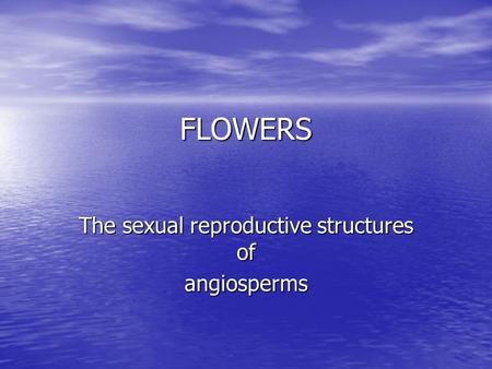 The sexual reproductive structures of angiosperms