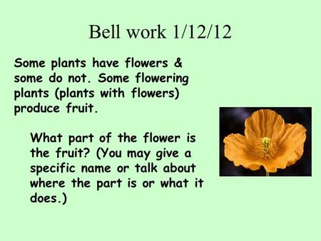 Bell work 1/12/12 Some plants have flowers & some do not. Some flowering plants (plants with flowers) produce fruit. What part of the flower is the fruit?