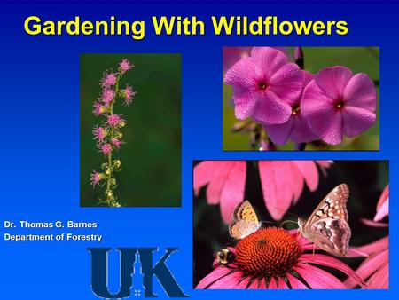 Gardening With Wildflowers Dr. Thomas G. Barnes Department of Forestry.