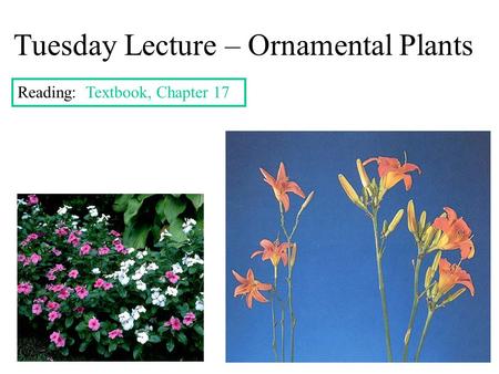 Tuesday Lecture – Ornamental Plants Reading: Textbook, Chapter 17.