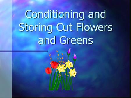 Conditioning and Storing Cut Flowers and Greens Long lasting flowers n important n pleases customer n happy customers return to the florist when they.