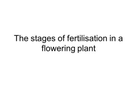 The stages of fertilisation in a flowering plant