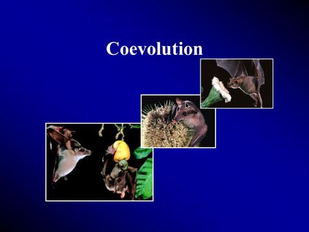 Coevolution. Between plants and animals A relationship develops between two organisms such that, as they interact with each other over time, each exerts.