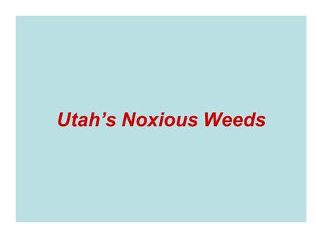 Utah’s Noxious Weeds.