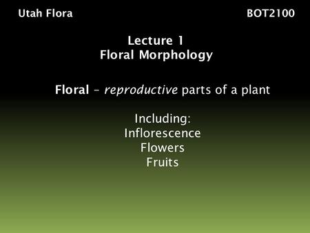 Floral – reproductive parts of a plant