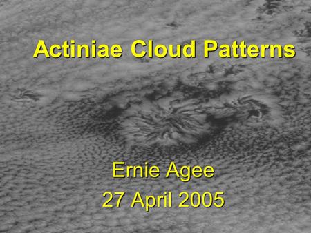 Actiniae Cloud Patterns Ernie Agee 27 April 2005.