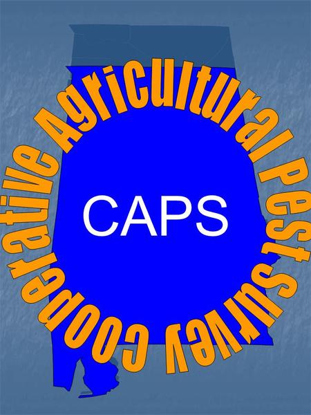 CAPS. WHAT IS CAPS? Cooperative Agriculture Pest Survey (CAPS) Cooperative Agriculture Pest Survey (CAPS) is a cooperative program requiring coordination.