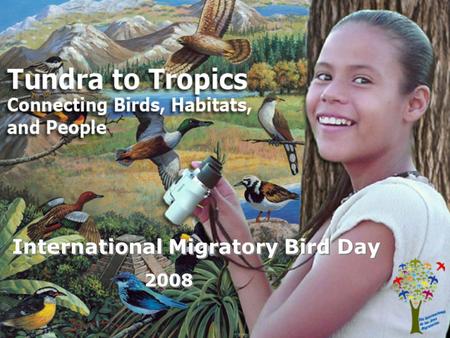 International Migratory Bird Day 2008. What is HABITAT? (hab-i-tat) An area where an animal or plant finds the food, water, shelter, and living space.
