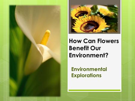 How Can Flowers Benefit Our Environment? Environmental Explorations.