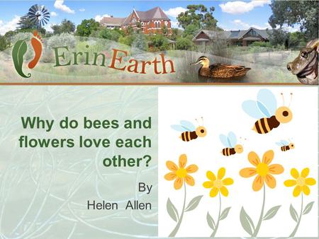 Why do bees and flowers love each other? By Helen Allen.