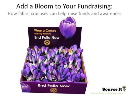 Source It Experts in flower fundraising campaigns Add a Bloom to Your Fundraising: How fabric crocuses can help raise funds and awareness.