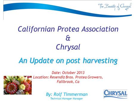 Californian Protea Association & Chrysal An Update on post harvesting