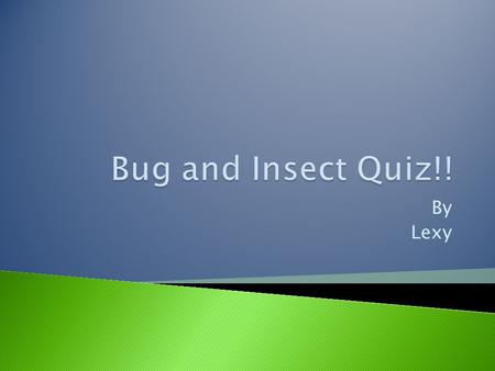 Bug and Insect Quiz!! By Lexy.