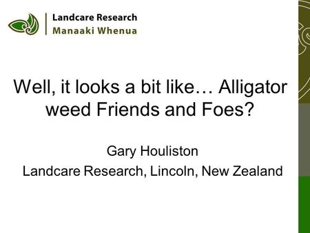 Well, it looks a bit like… Alligator weed Friends and Foes? Gary Houliston Landcare Research, Lincoln, New Zealand.