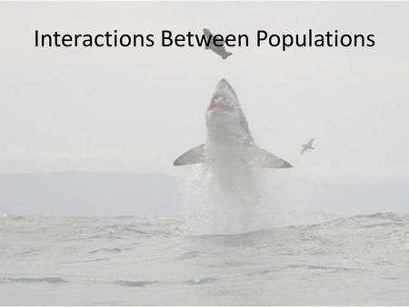 Interactions Between Populations. Traditional approaches to population interactions have been to consider just the direct pairwise interactions This is.