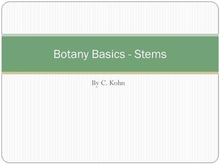 Botany Basics - Stems By C. Kohn.