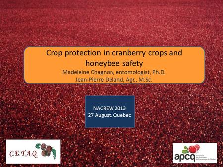 NACREW 2013 27 August, Quebec Crop protection in cranberry crops and honeybee safety Madeleine Chagnon, entomologist, Ph.D. Jean-Pierre Deland, Agr., M.Sc.