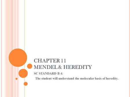 CHAPTER 11 MENDEL & HEREDITY SC STANDARD B 4: The student will understand the molecular basis of heredity.