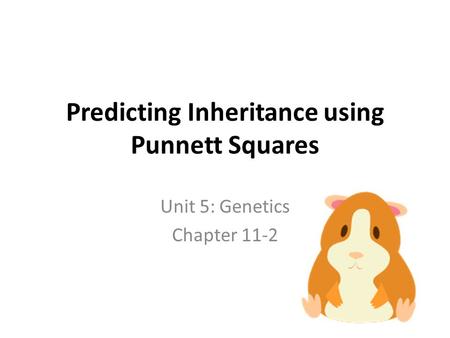 Predicting Inheritance using Punnett Squares