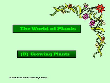 W. McConnell 2004 Kinross High School The World of Plants (B) Growing Plants.