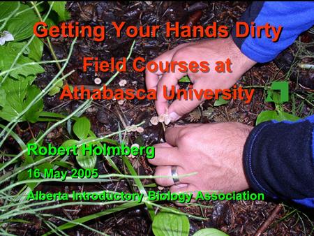 Getting Your Hands Dirty Field Courses at Athabasca University Field Courses at Athabasca University Robert Holmberg 16 May 2005 Alberta Introductory Biology.