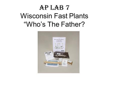 AP Lab 7 Wisconsin Fast Plants “Who’s The Father?