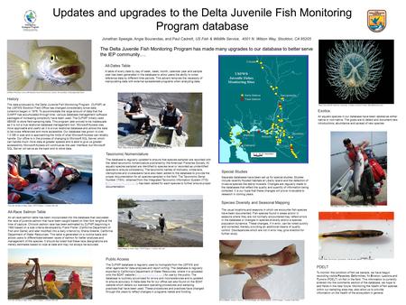 Updates and upgrades to the Delta Juvenile Fish Monitoring Program database Jonathan Speegle, Angie Bourandas, and Paul Cadrett, US Fish & Wildlife Service,