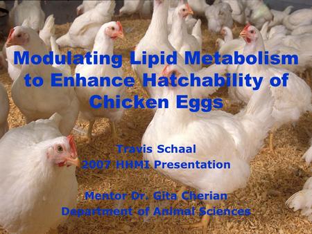 Modulating Lipid Metabolism to Enhance Hatchability of Chicken Eggs Travis Schaal 2007 HHMI Presentation Mentor Dr. Gita Cherian Department of Animal Sciences.