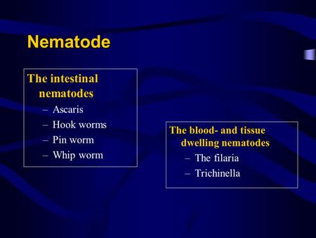 Nematode The intestinal nematodes Ascaris Hook worms Pin worm