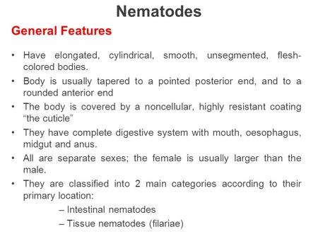Nematodes General Features