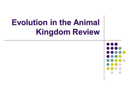 Evolution in the Animal Kingdom Review