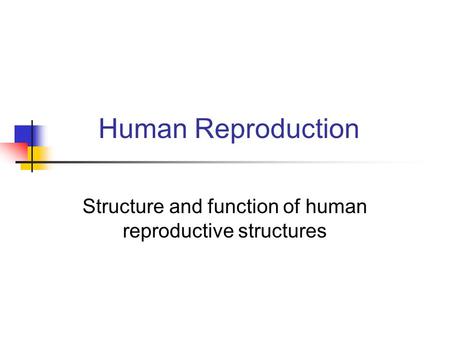 Structure and function of human reproductive structures