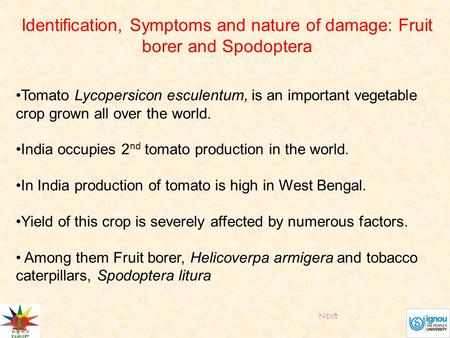 Tomato Lycopersicon esculentum, is an important vegetable crop grown all over the world. India occupies 2 nd tomato production in the world. In India production.