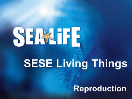 Reproduction SESE Living Things. The life cycle All animals, including humans, start out as babies and get older. When babies are born they are very small.