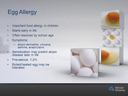 Egg Allergy Important food allergy in children Starts early in life