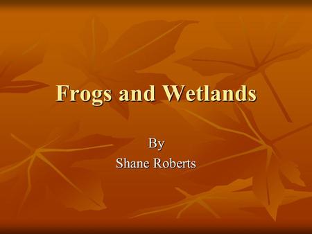 Frogs and Wetlands By Shane Roberts. Taxonomy Kingdom Animalia Kingdom Animalia Phylum Chordata Phylum Chordata Class Amphibia Class Amphibia Order Anura.