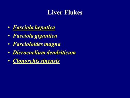 Liver Flukes Fasciola hepatica Fasciola gigantica Fascioloides magna