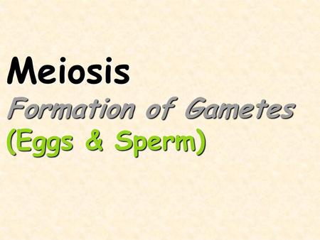 Meiosis Formation of Gametes (Eggs & Sperm)