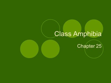 Class Amphibia Chapter 25. Accommodations to land 1.Oxygen content: oxygen is 20x more abundant in air and diffuses more rapidly through air than water.