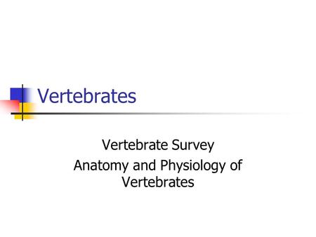Vertebrate Survey Anatomy and Physiology of Vertebrates
