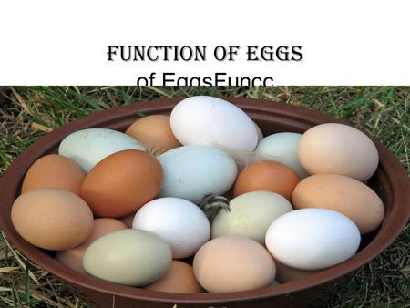 Function of eggs of EggsFuncc